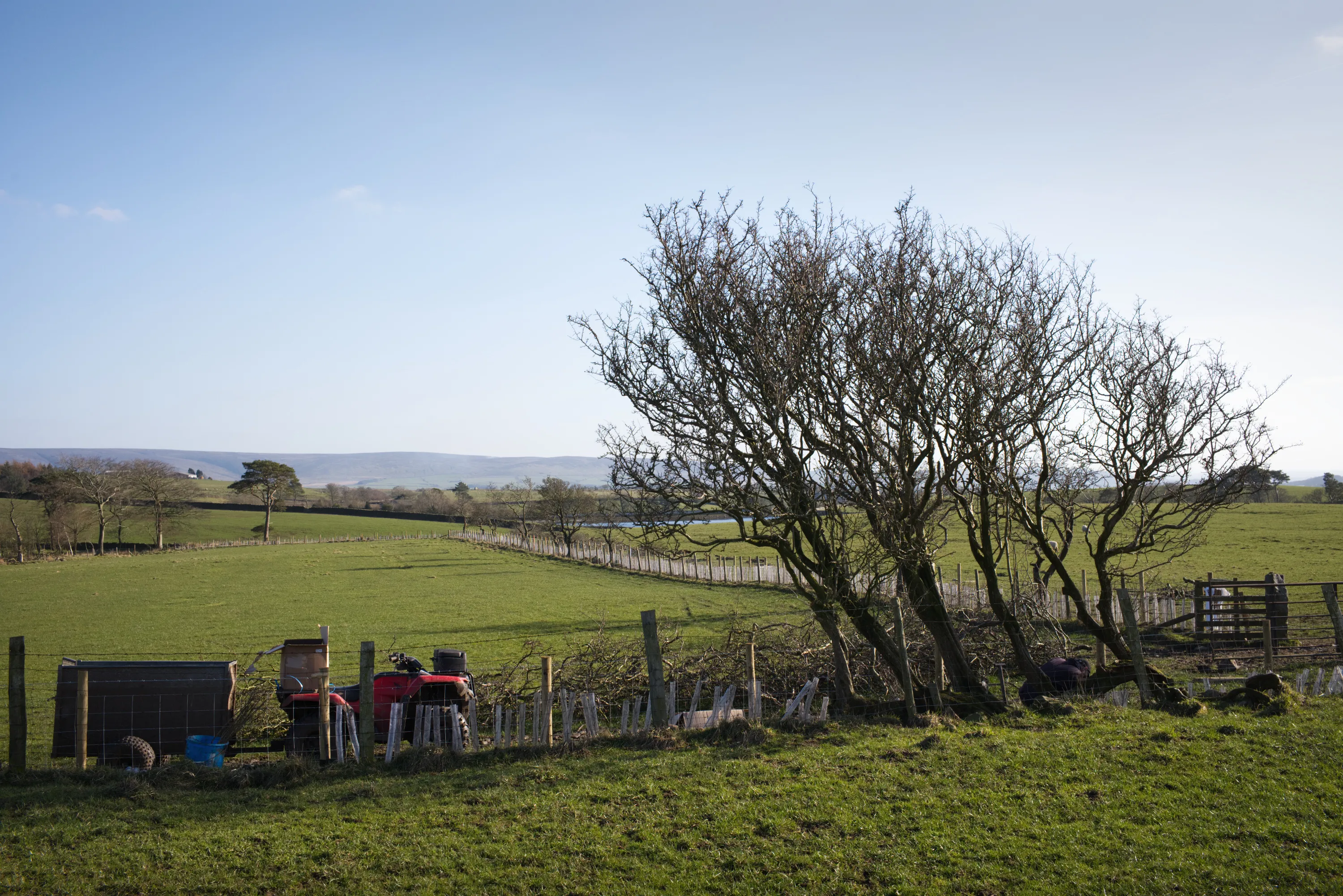 Green farmland with bare wind-bent trees, a red quad bike, and distant hills