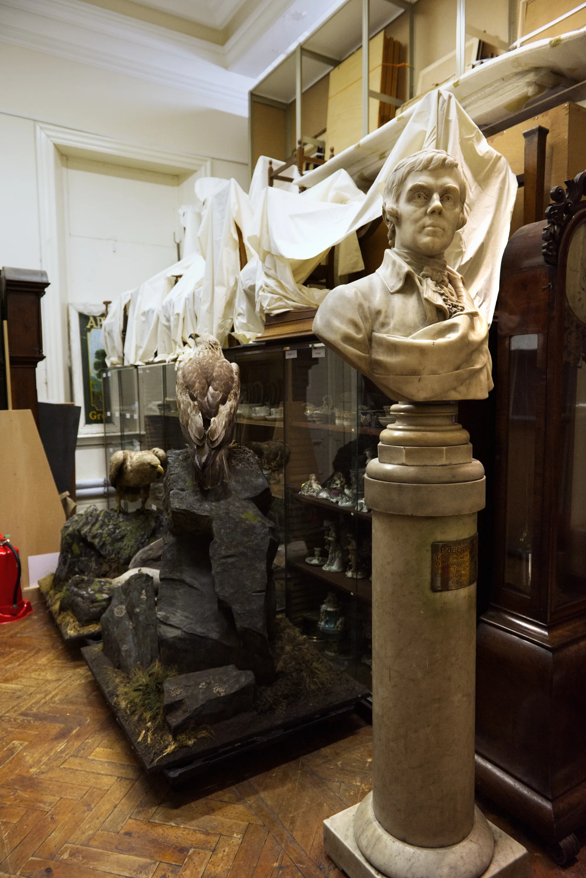 A marble bust of a man on a stone plinth in a cluttered museum store, with a taxidermy bird diorama and sheet-draped sculptures behind