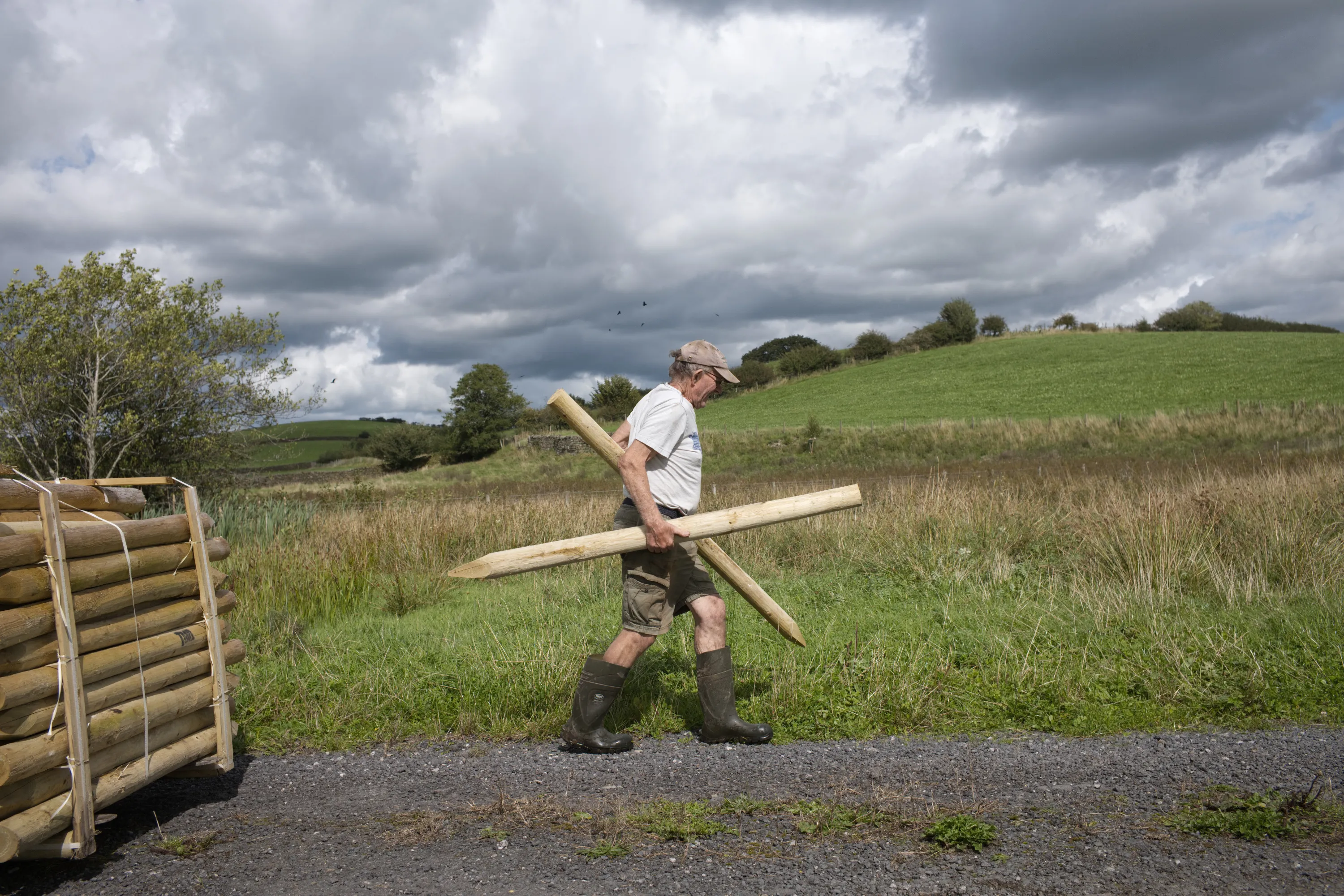 Older man in cap and wellies carries wooden fence posts across a field