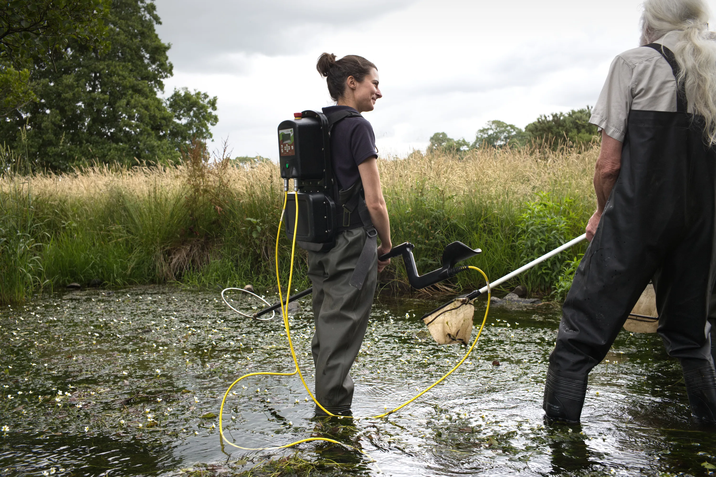 Woman wading in a stream carrying electrofishing equipment, second person beside her
