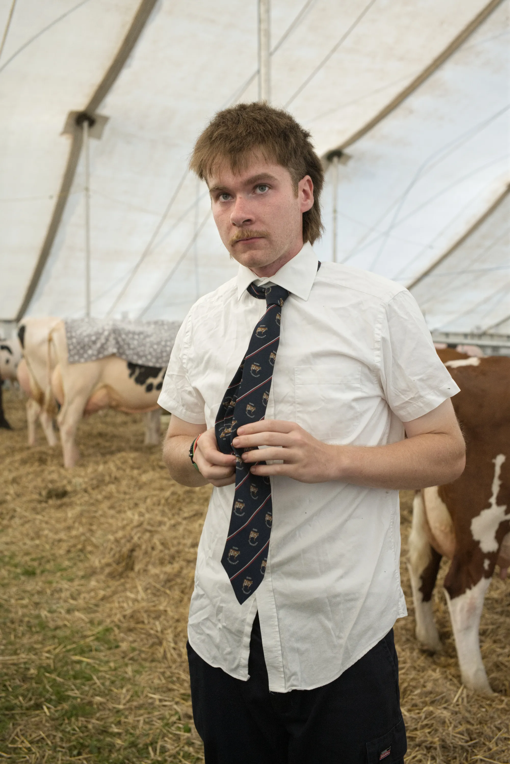 Young man in white shirt and tie adjusting his collar inside a livestock show tent