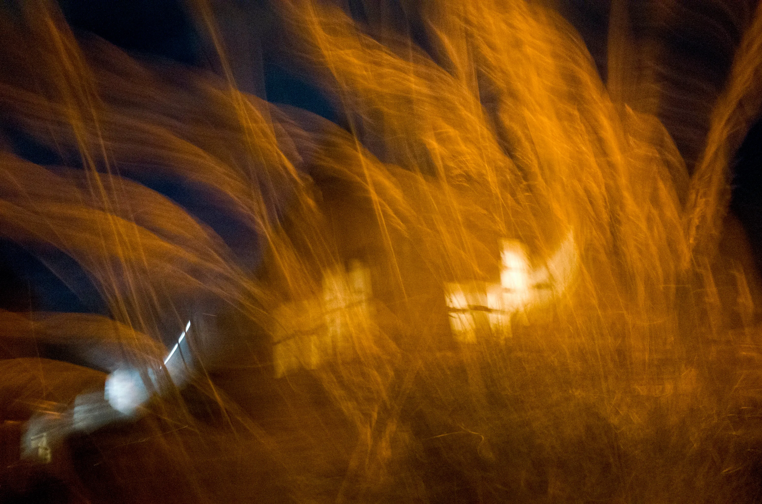 Motion-blurred golden grass at night with lit windows behind