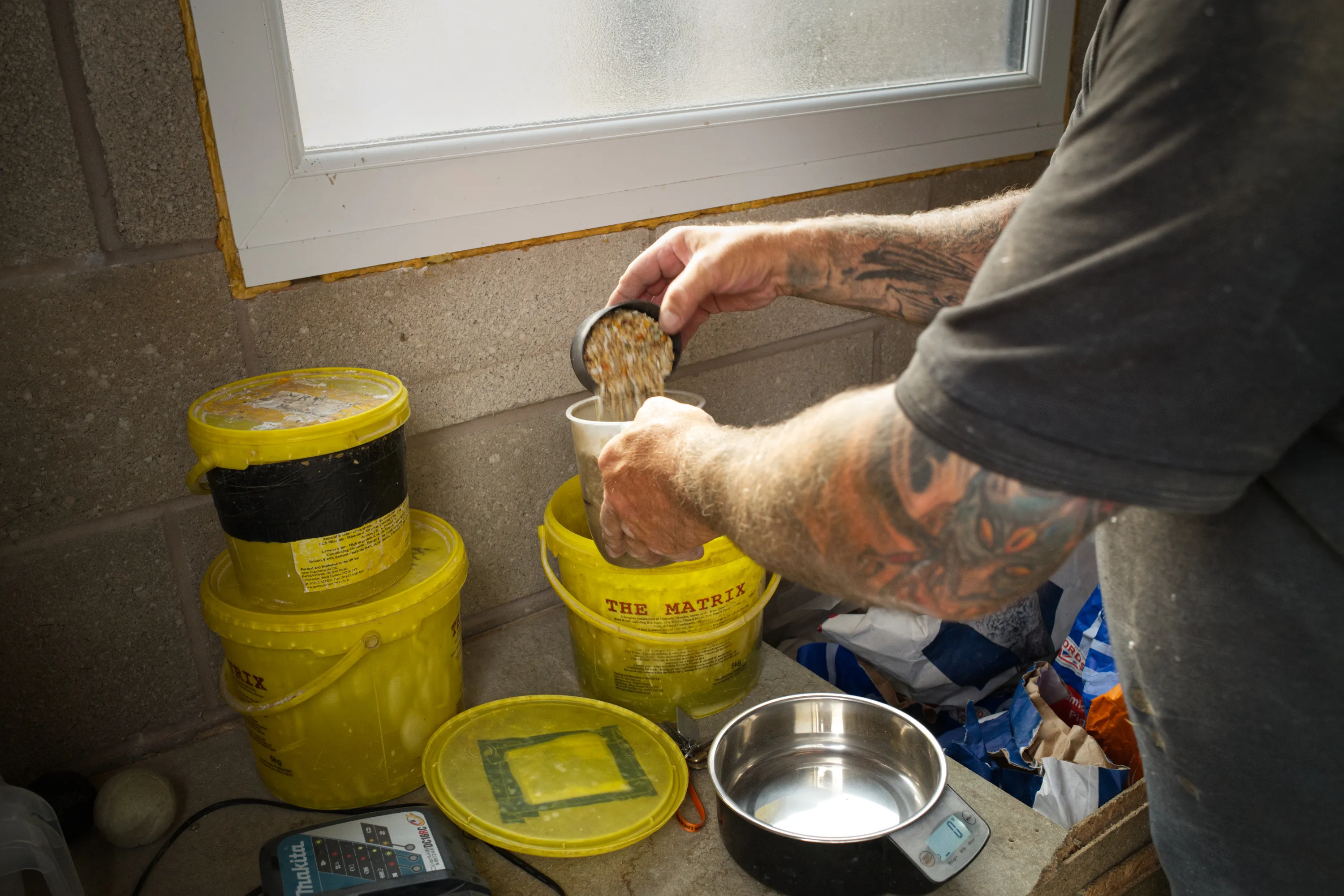 Tattooed arm pouring grain from a scoop into a yellow feed bucket