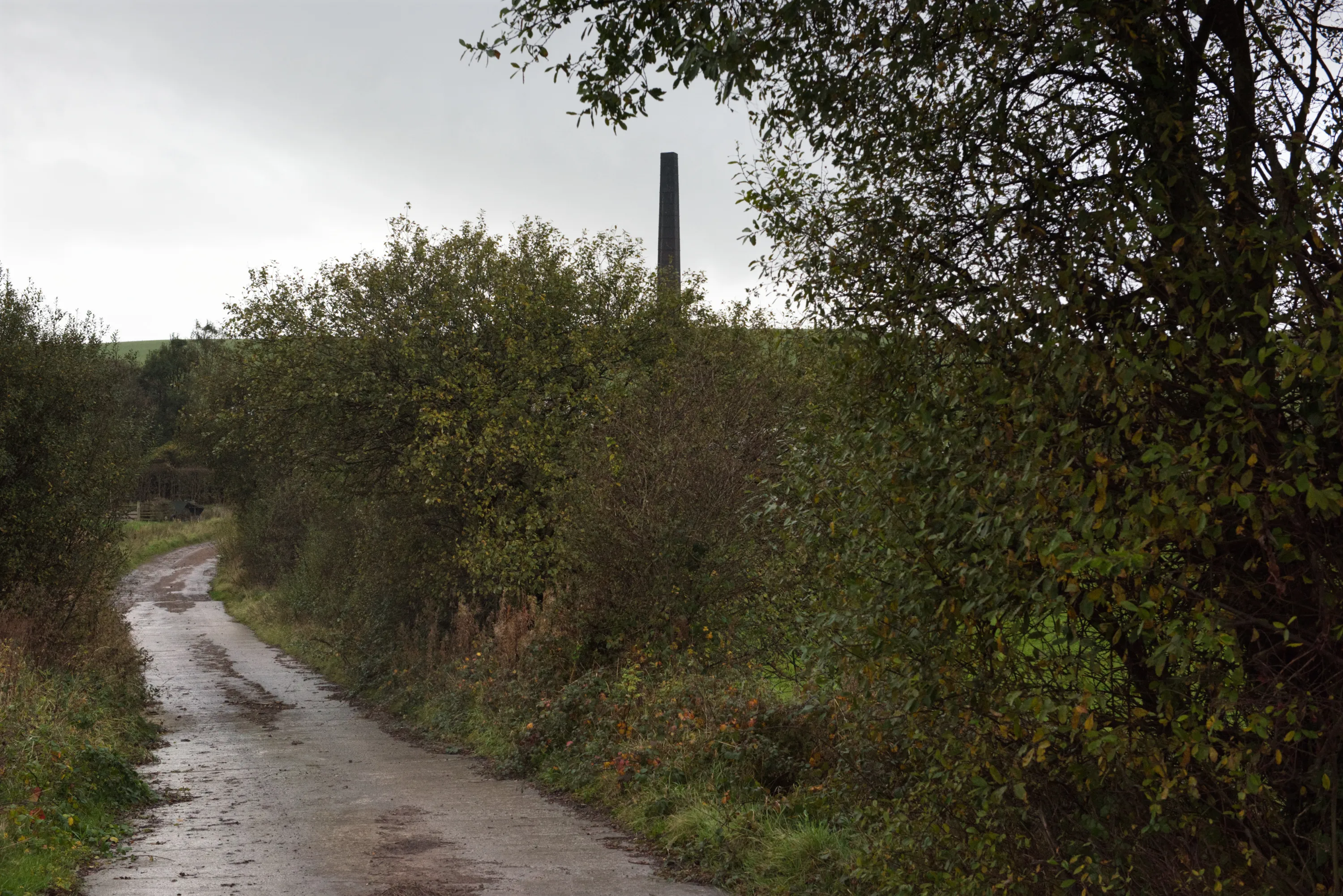 A wet lane flanked by overgrown hedges, the brickworks chimney visible above the trees