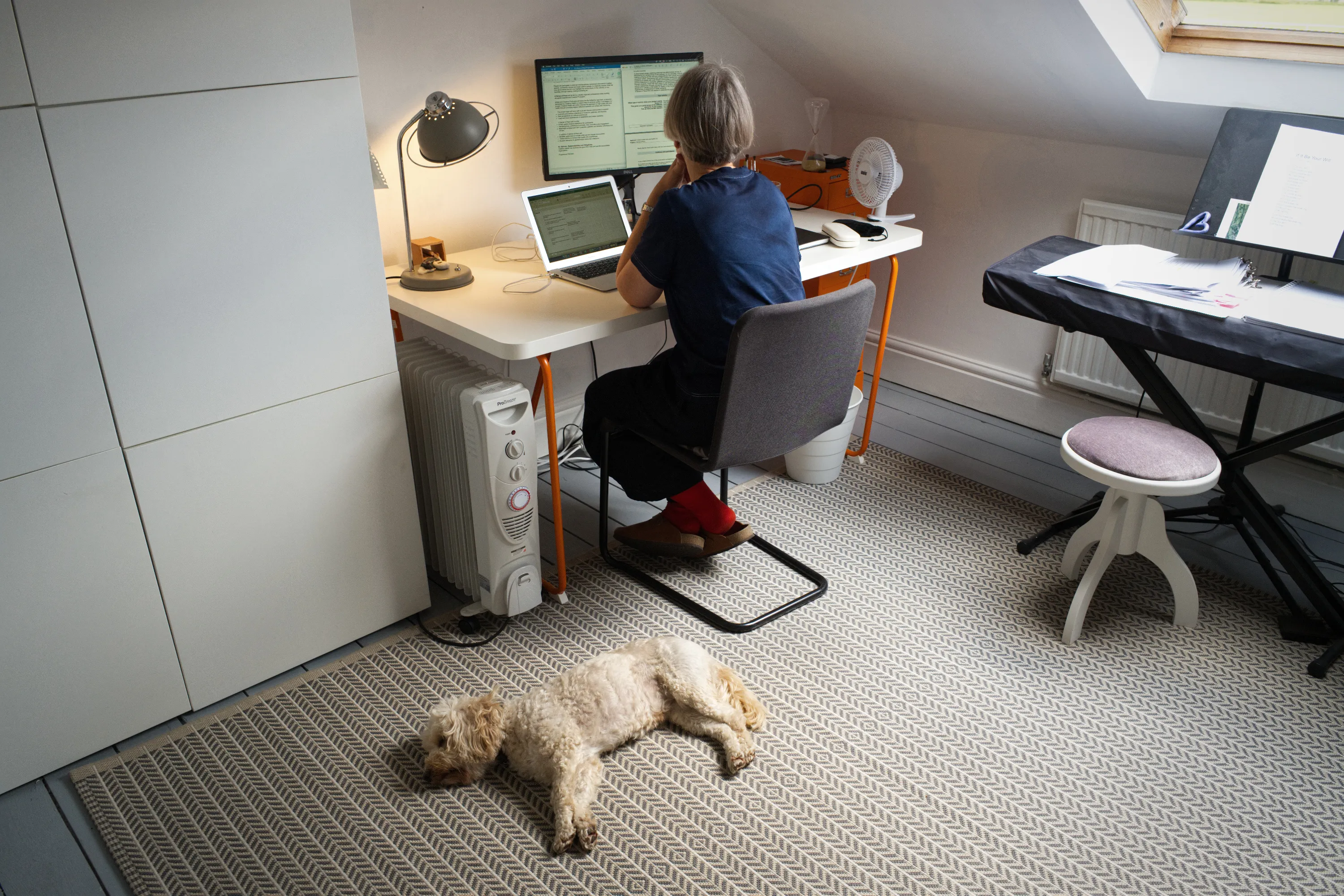 Woman at a desk with dual screens in an attic room, dog lying on the floor
