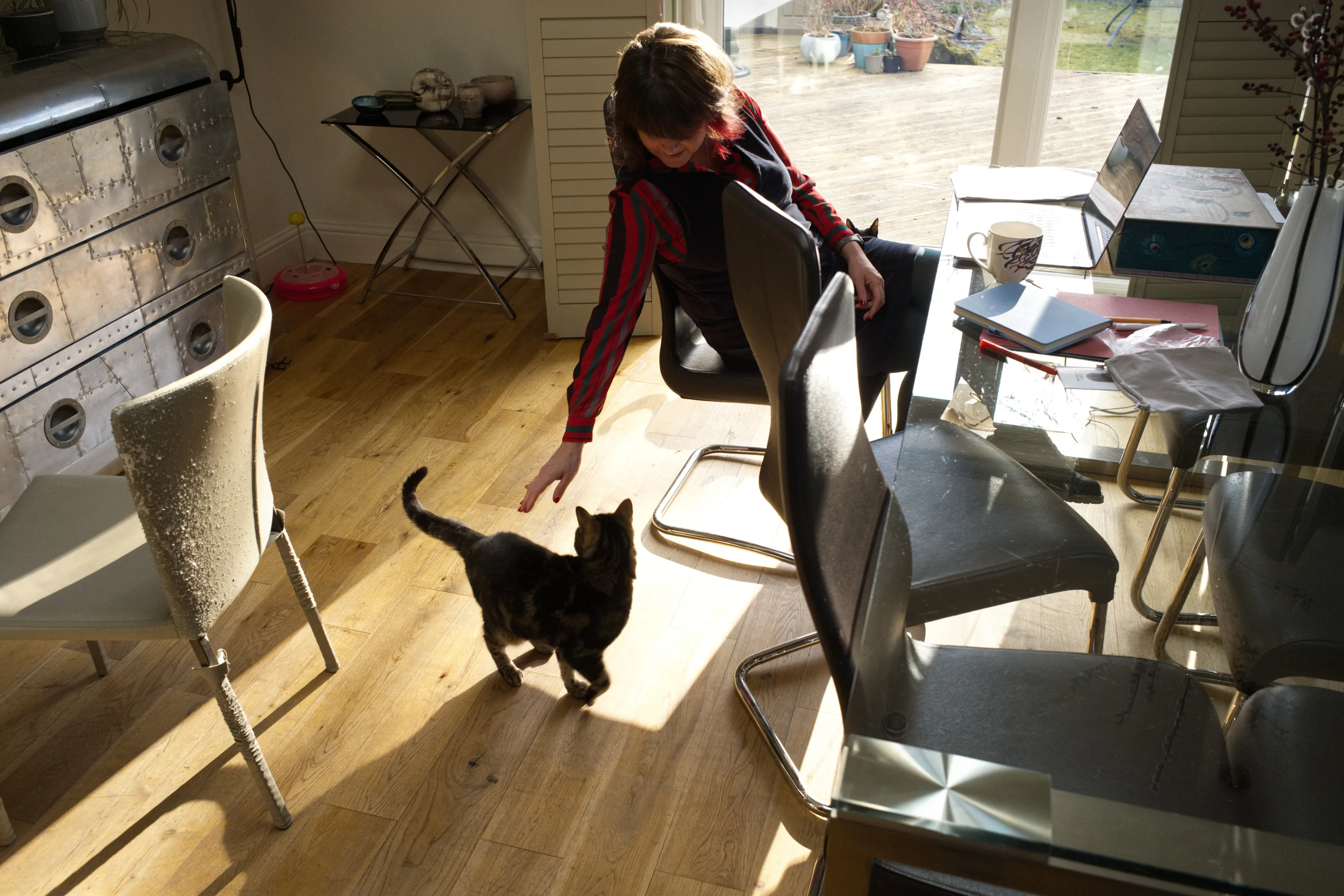 Woman reaching down to a black cat on a sunlit wooden floor near a dining table