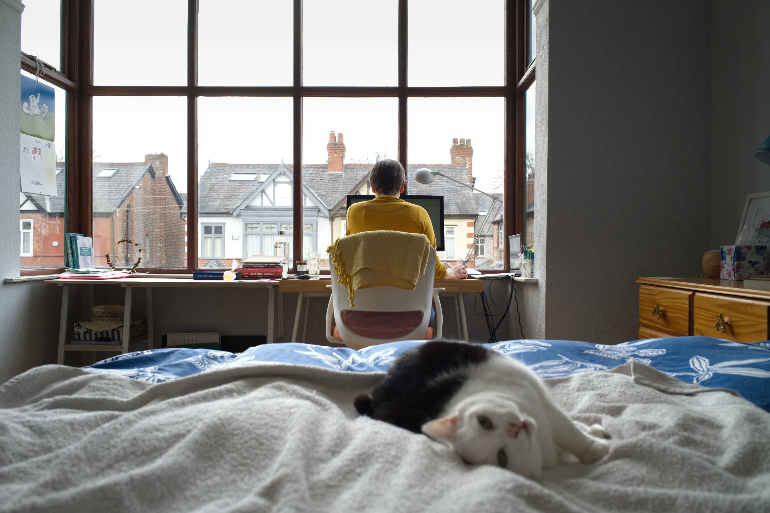 Person in yellow top at a desk facing a large window, cat on the bed in foreground